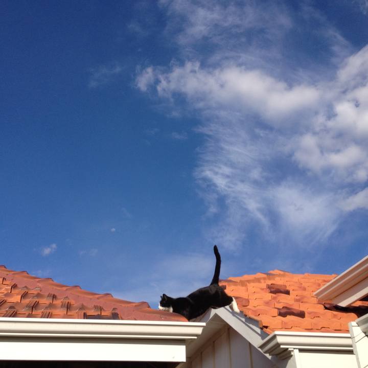 B33d2582 91cc 4faf b8a6 3ff83ac14603