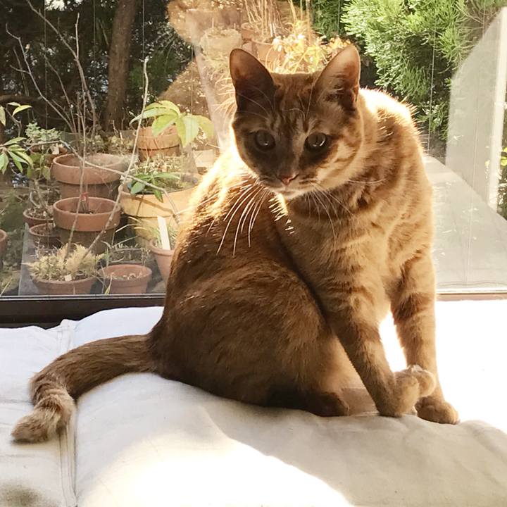 B33d25d8 b5fd 44fa 99e3 8a1ea11c448f