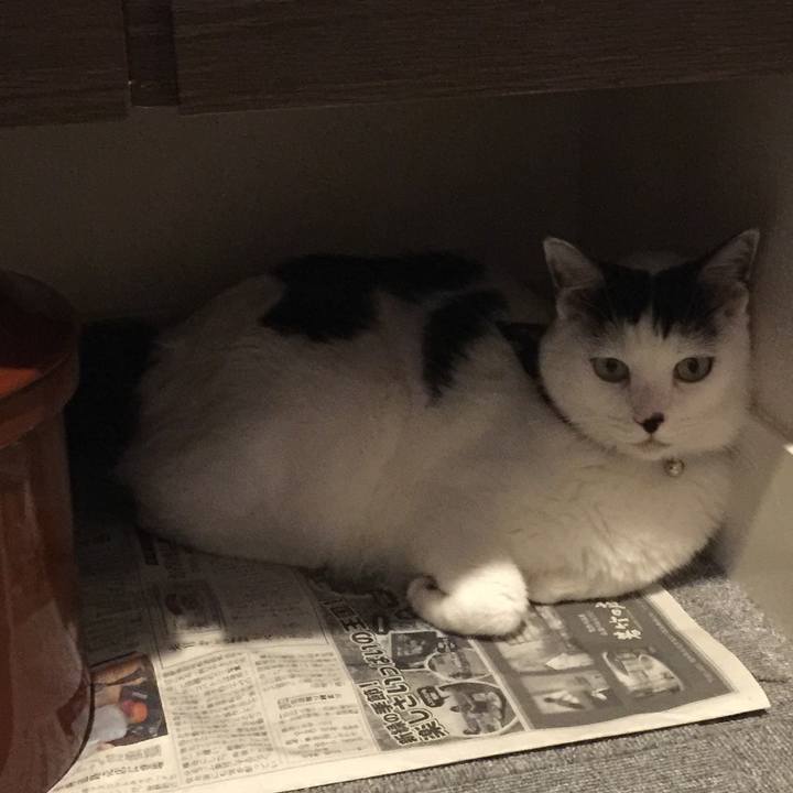 B33d536a fb28 42af 9cf3 7e467c09ce82