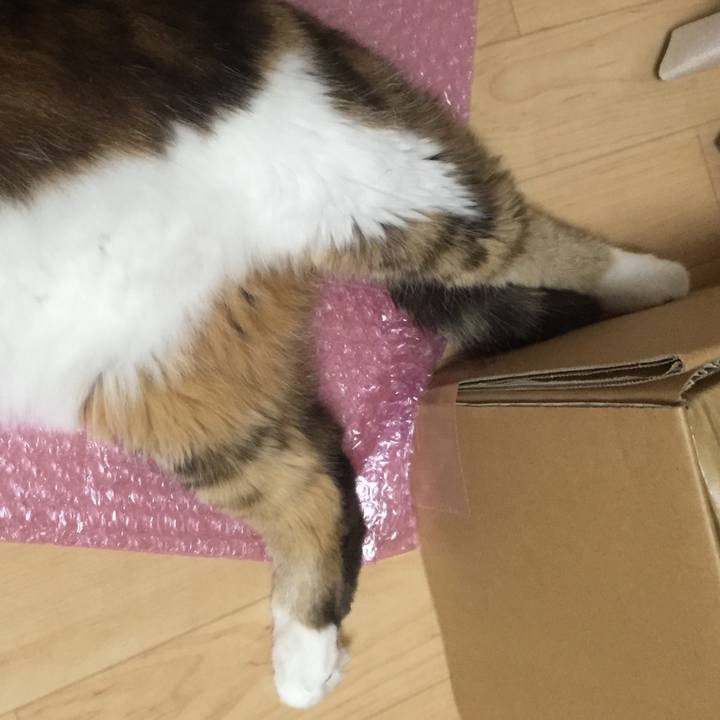 B33e3814 2713 4024 89cf 279a319949e9