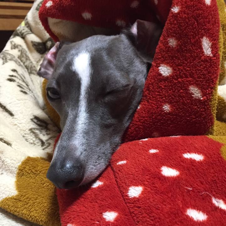 B33f7055 86ca 4719 b1c6 0f213e3e3877