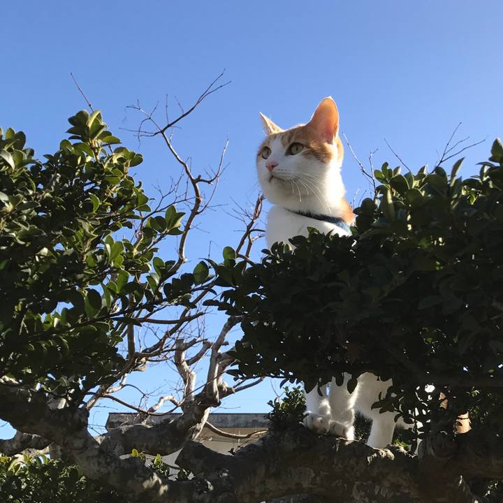 B33f874b 7cd5 4f76 bab4 64625be70525