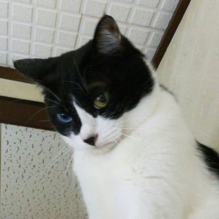 B33f935d 4a46 4a6f b95f 0c1bb93a9fbd