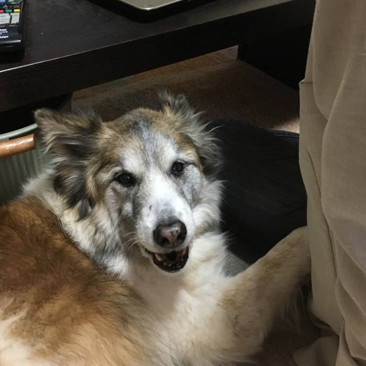 B33fd113 a2f3 4467 8518 305bbb219745