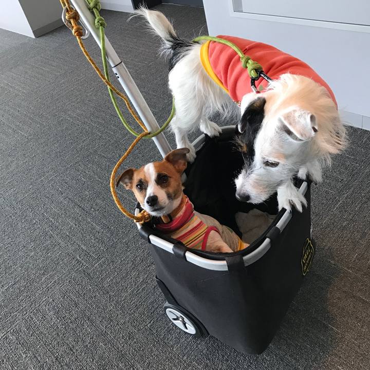 B33ffe38 2ce0 48cf 8d1f db2b8a75d75b