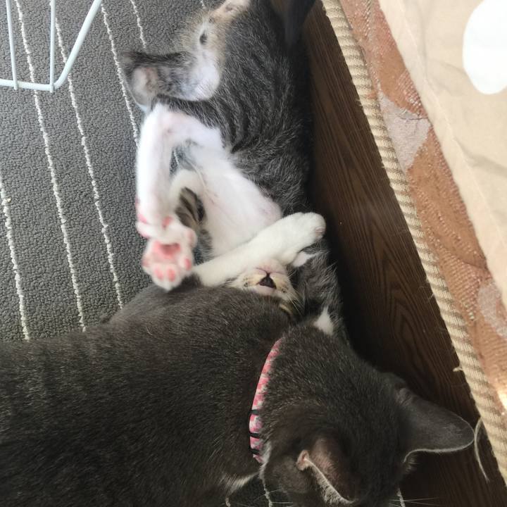 B34009e4 e683 4989 917e cffe95d77e25