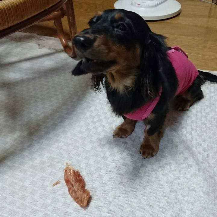 B3404a1d 415c 4d6c a0c8 fc5c6a822519