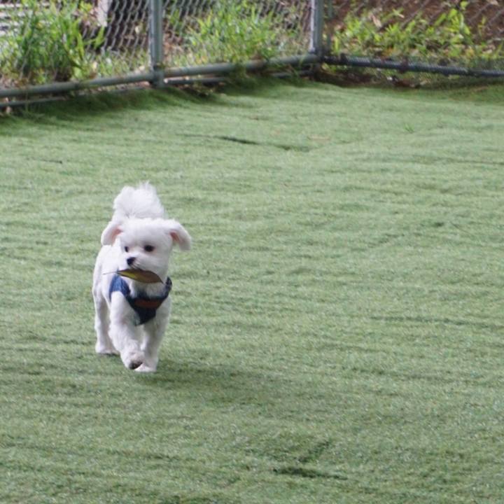 B3407d8f 64ea 4a0d 8cbc 918907b5c247