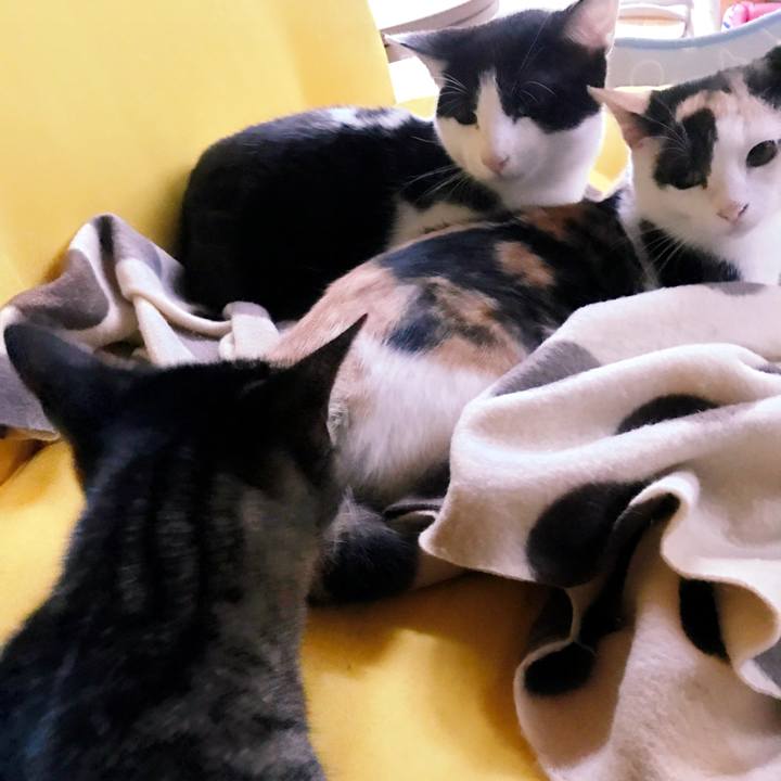 B340847d 7587 43e9 a5cf 93b16e3c0fd1