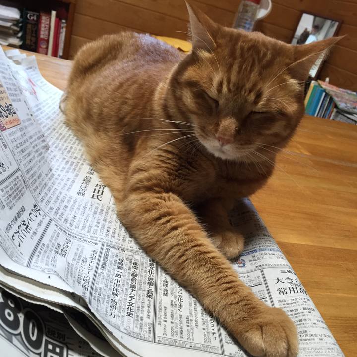 B3409425 1508 4fbe 9ec5 1868c5534ddd