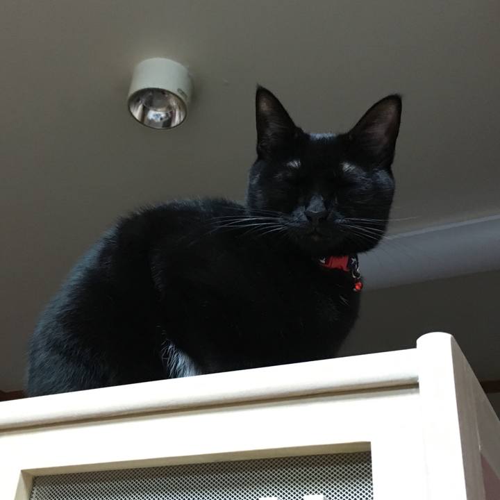 B340ccfb d8af 4e35 a6af 0358e004042f