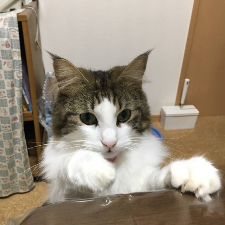 B340d5f2 9c91 4988 a421 0e3658f768f2