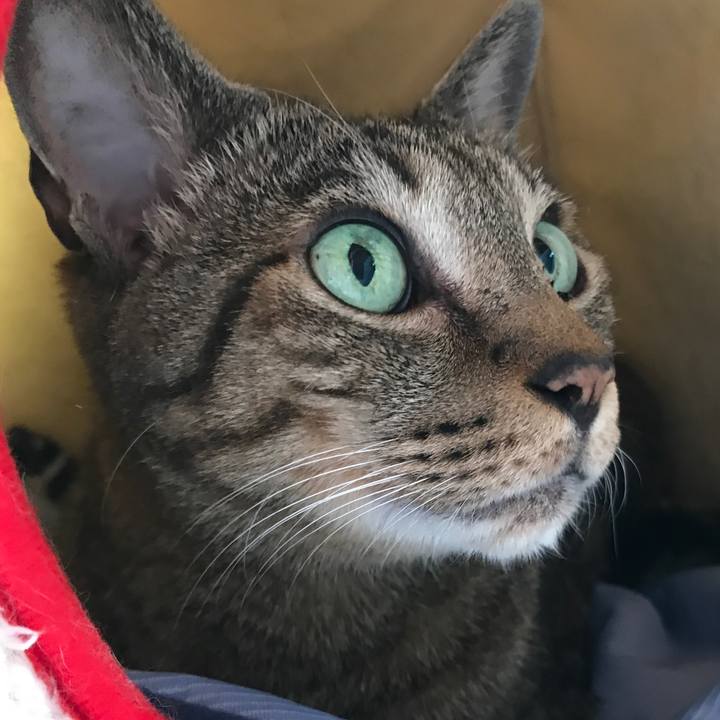 B3410535 f0cb 43ac a749 1f9e26979aa8