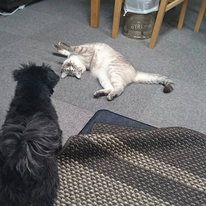 B3415d62 4b9e 48d0 a125 ac4f465dc2df