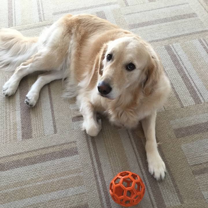 B341b53c 61a2 432c ae91 2402981209ac