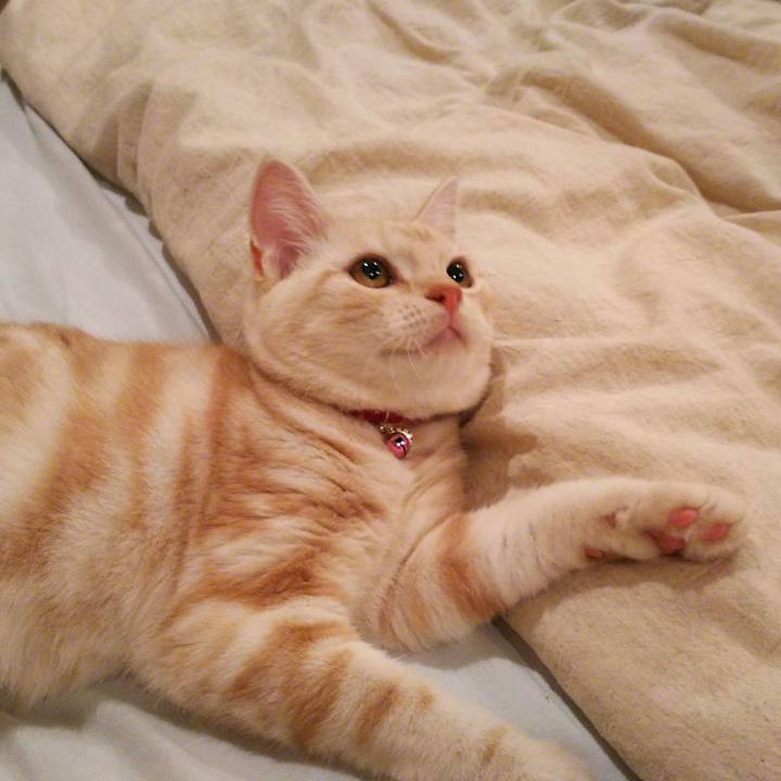 B341c7c6 de57 45e8 98d5 9314e8c02c4b