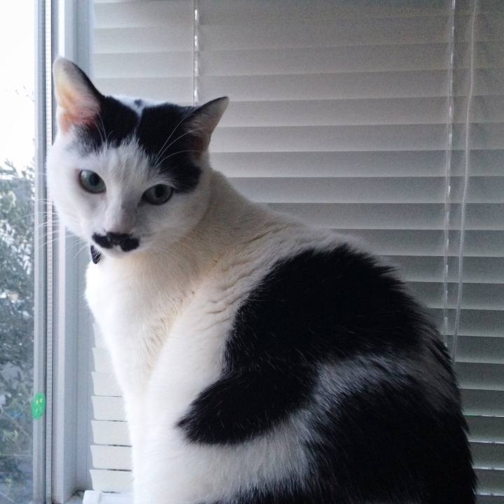 B341f687 856a 4747 ae59 a3d943915ebe