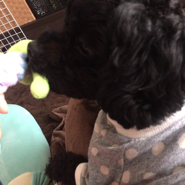 B34217a9 430c 4dfd a049 cbffb8905166