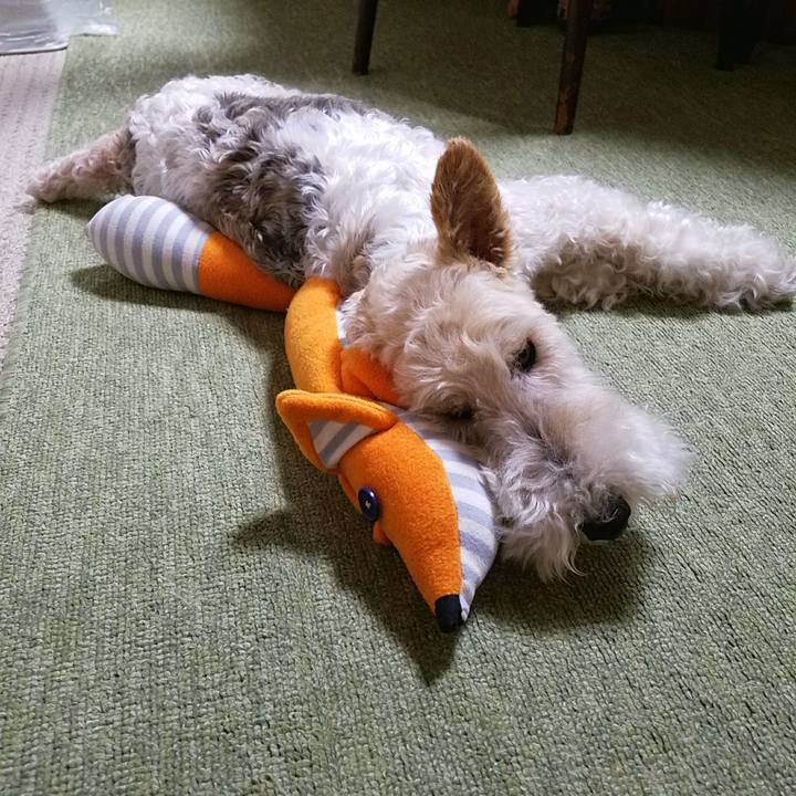 B3423f98 437a 4555 9d74 1f06a983e8af