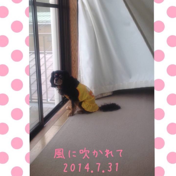 B34284e9 4e93 4df6 84c6 9376091b90b0