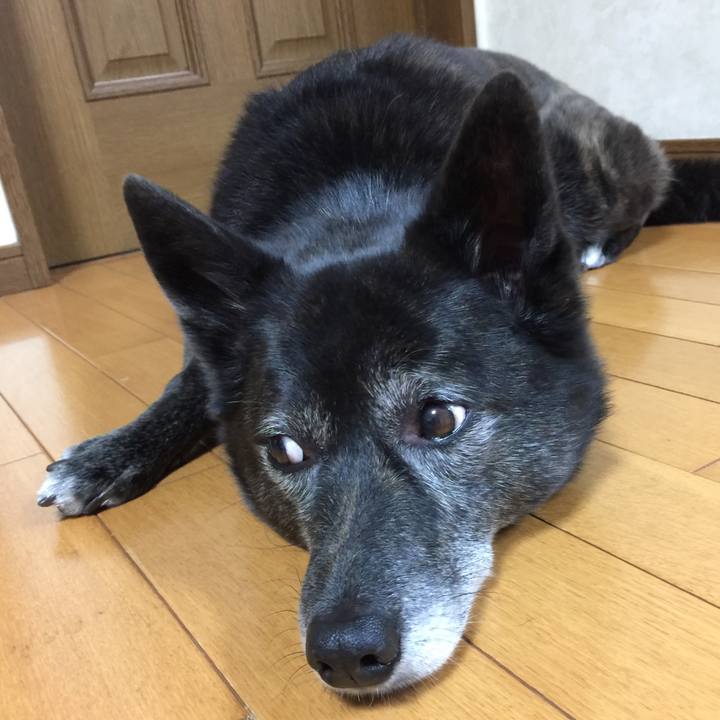 B342850b e54e 467b 9f85 5b06f06a6aa3