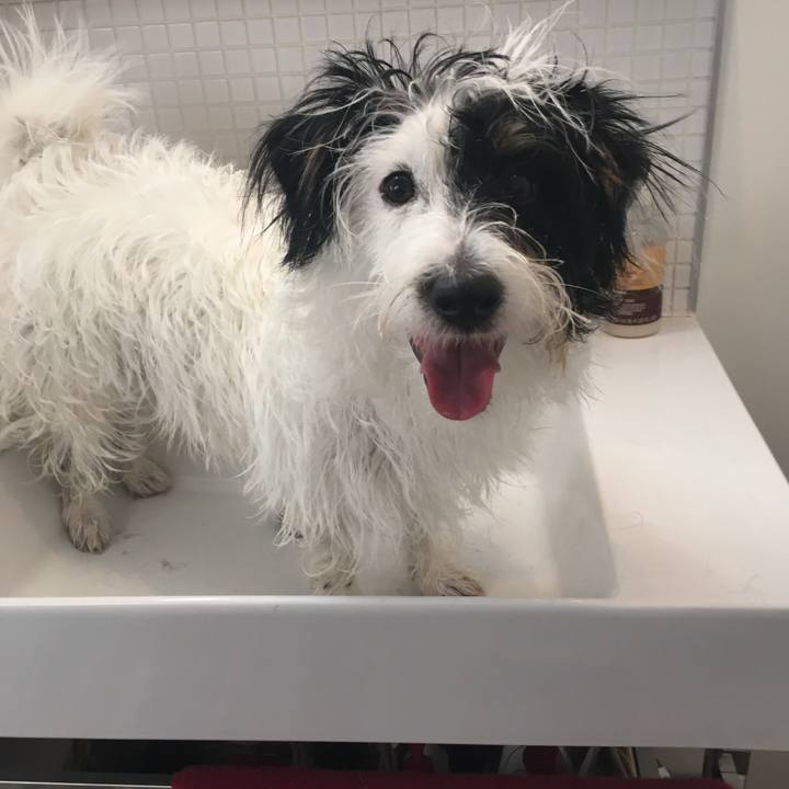 B342a2bf 7298 4037 847c d82ba78434b4