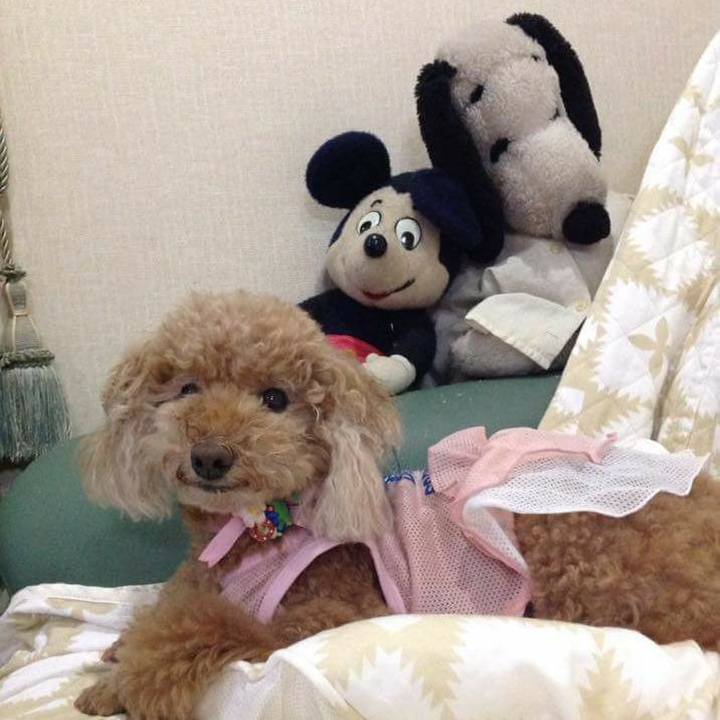 B342da75 f2db 4500 982b 3a5bf305d6ce