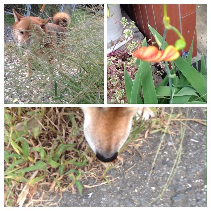 B34330cf 61ad 4c80 9b27 4f6c0f4dc8c3