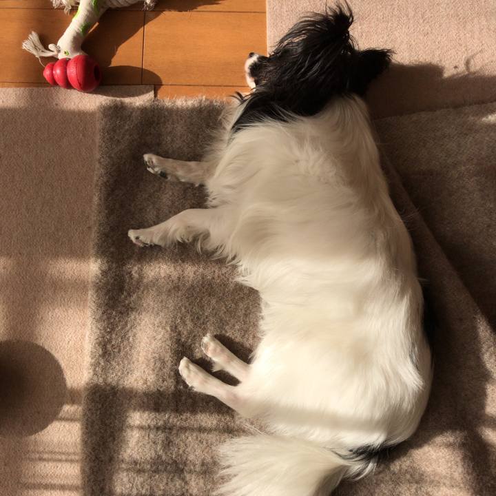 B34346c1 b9a8 4524 9366 c319c630d1da