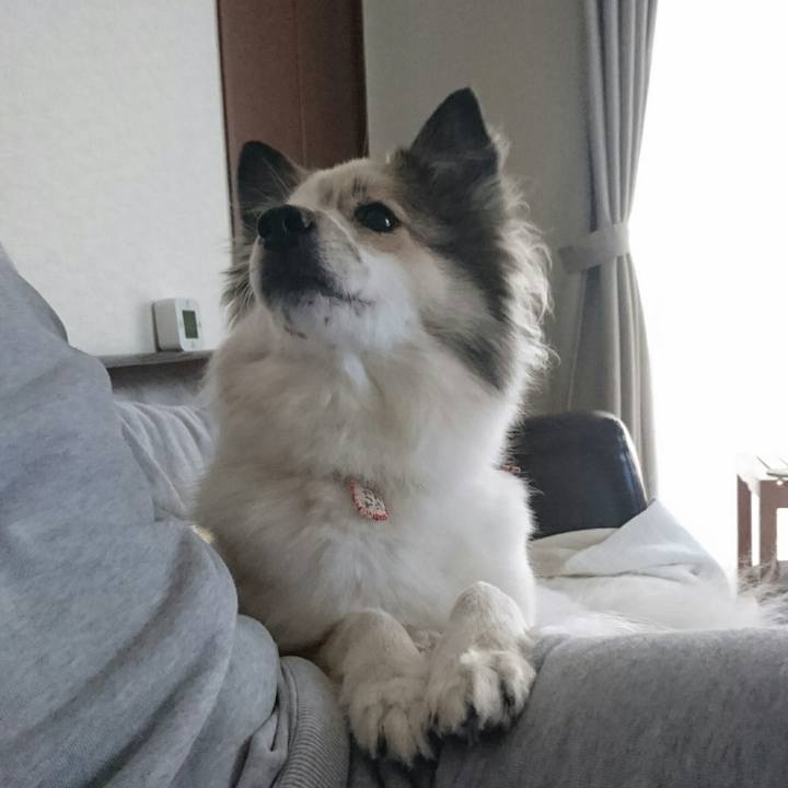 B3434b41 2102 49b5 84ff 3176672ecbbe