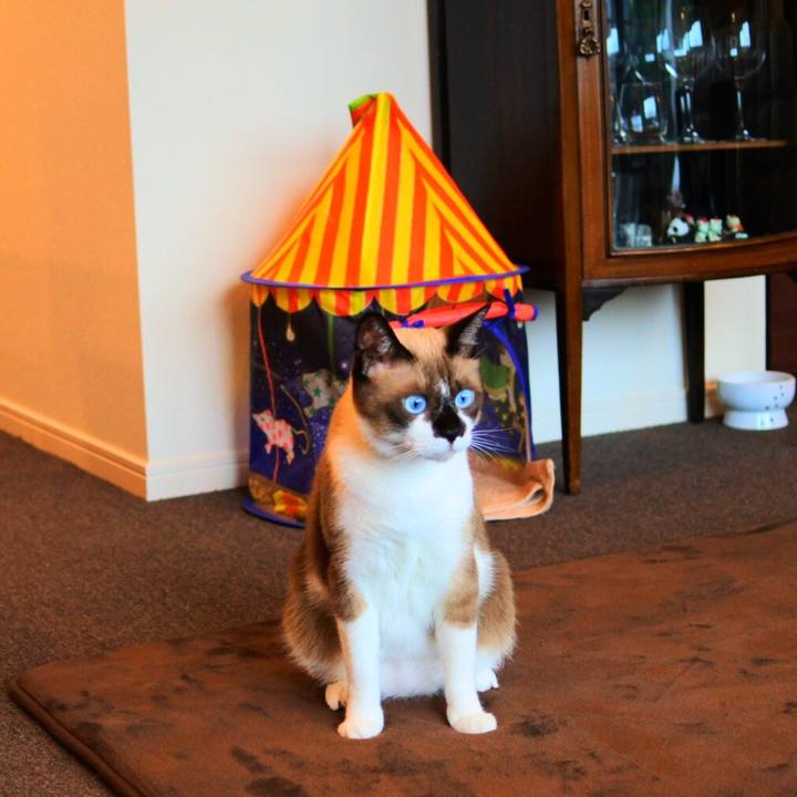 B34366f3 6b5f 47b2 a07b 95270be4e303