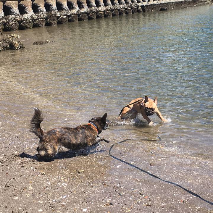 B3449773 b3af 4e7b b257 642cd64b9ed4