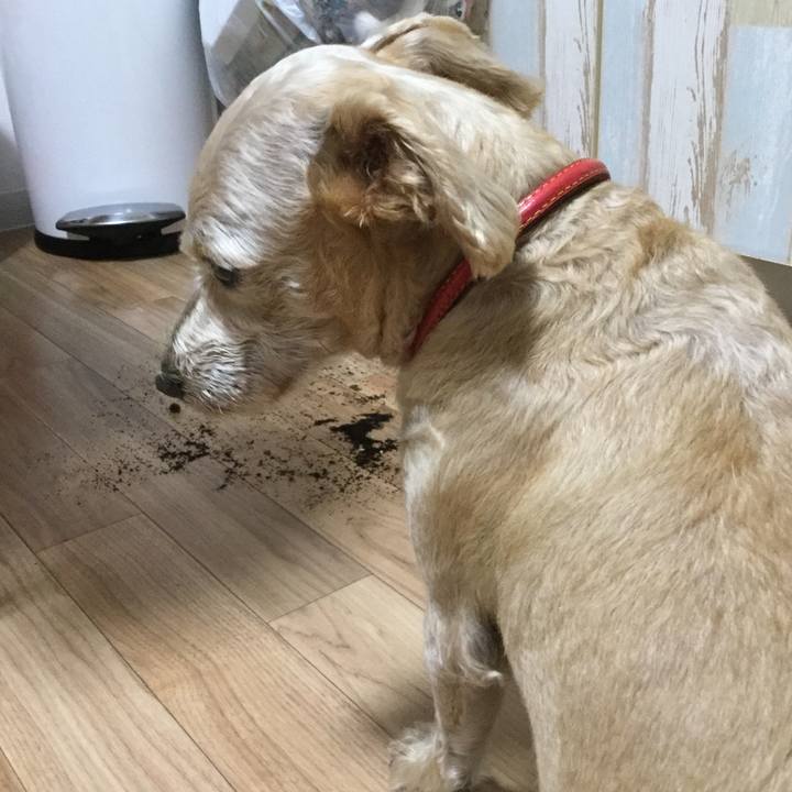 B344fa71 1f63 44e4 a5f7 3b3a9f59efa4