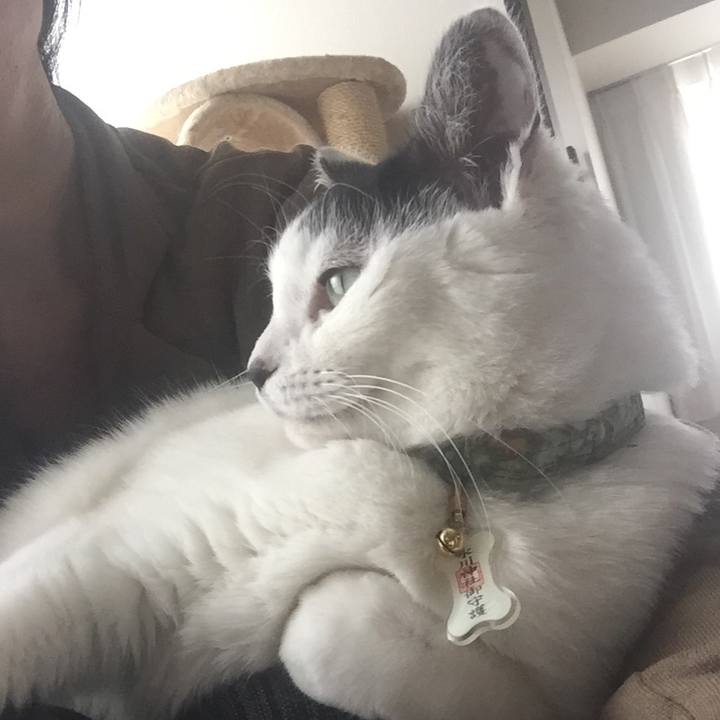 B3450a62 ee4e 4e8a a11a abfabd4597ea