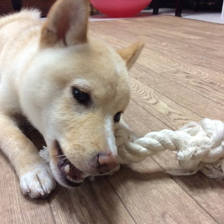 B3450e68 463b 4739 adb5 9321f7af7e9a