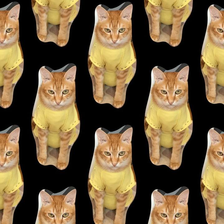 B34577e5 4409 4018 a47e bfcc6b7f269b