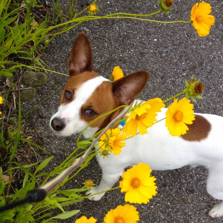 B34632a3 6f2d 43bf b45b 6cd2e8f2a19e