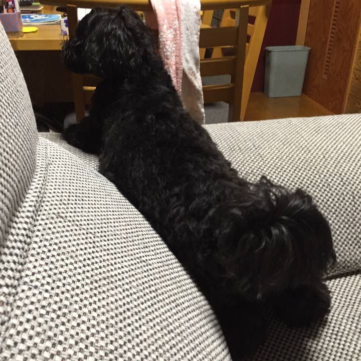 B346d50b e4f2 4363 9e0e f94c683cb4b1