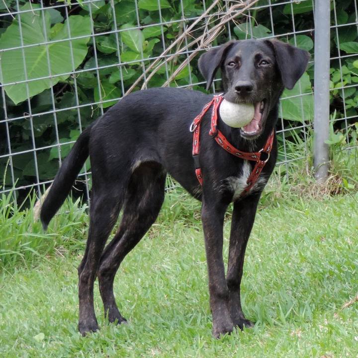 B347144b 4d89 4813 8a69 546e3c948460