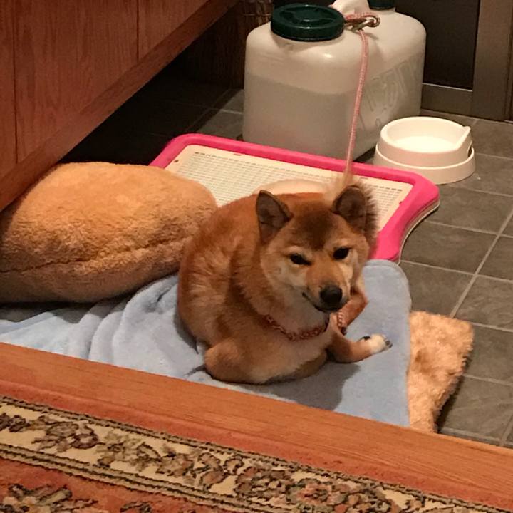 B3471dcc 0fd6 490f 87a3 c214ace4d4da