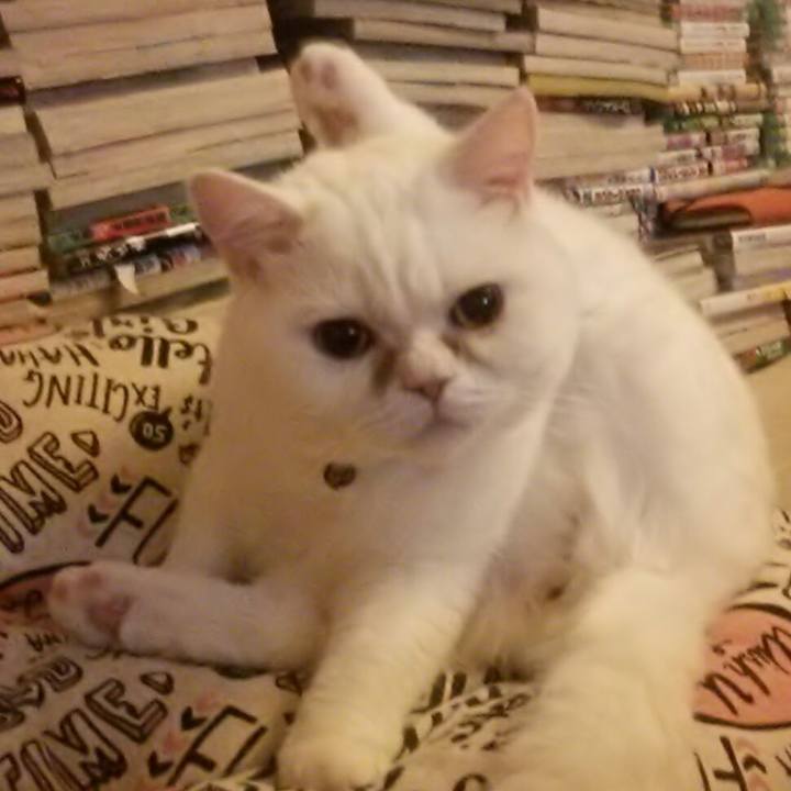 B3476ce4 6f85 4f00 b220 b42ea6deceab