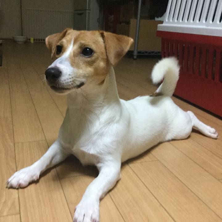 B3483aa4 cd40 4f18 bfc5 3a31327f6301