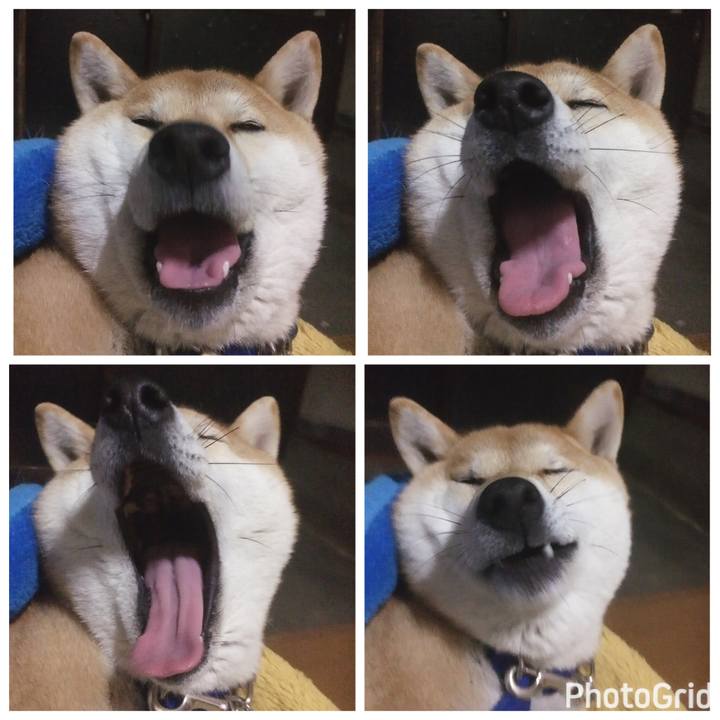 B348bca8 ebd2 4baf ab2d 784c149dcb75