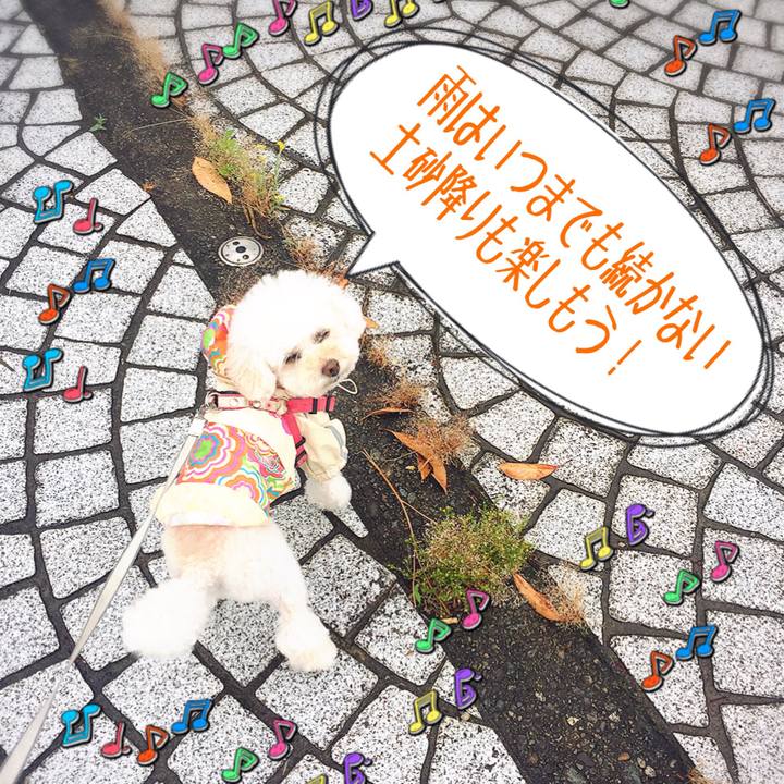 B348d784 d28b 4fe0 974c fd614215a615