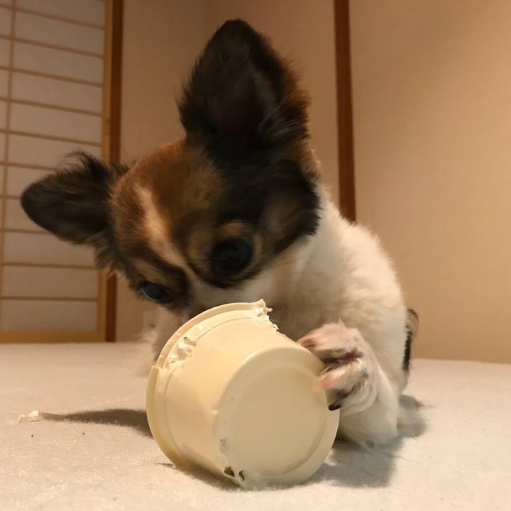 B348e78d 62ae 46c0 995b a22ae51d255f