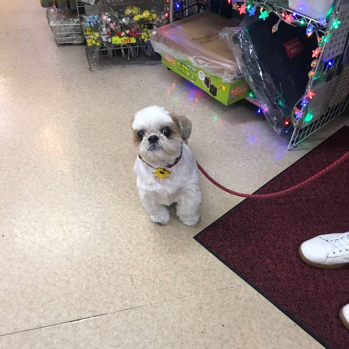 B348e8c8 5767 4e0b 943a 651225cb0290