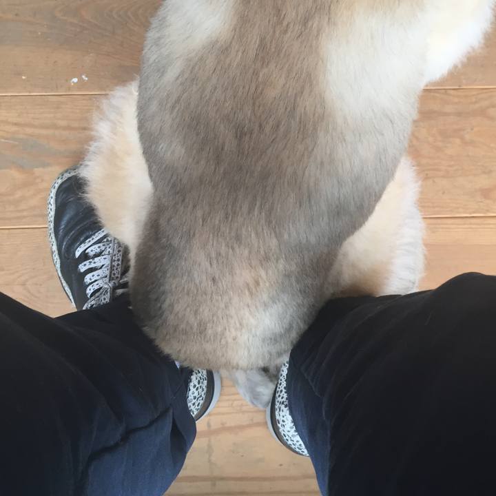 B348eb53 7f99 42f5 8ea7 b65f4fa8428b