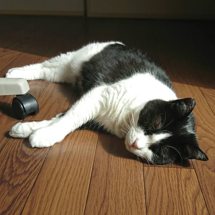 B348edde a6c6 4567 9cbd d4d48f63987a