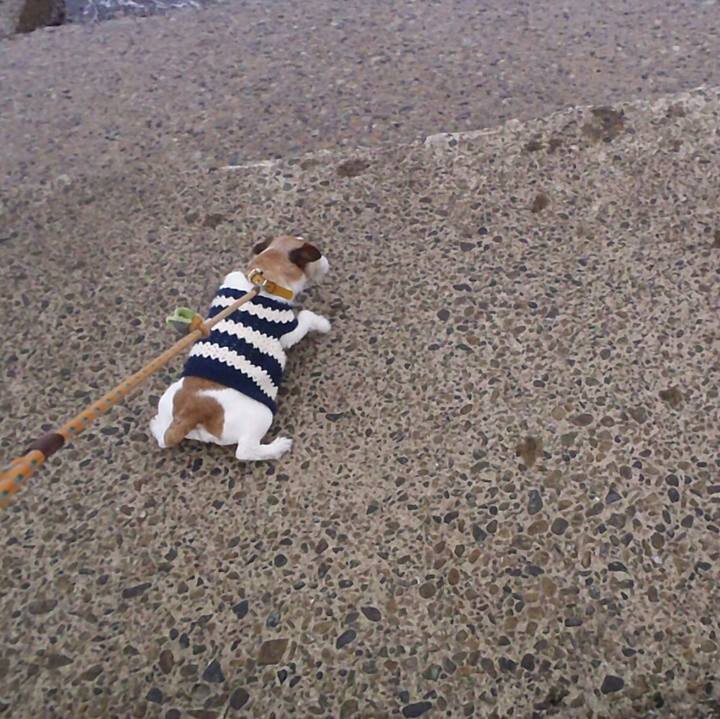 B34944b6 f949 4b9a bdf1 2c8e96dae7bd