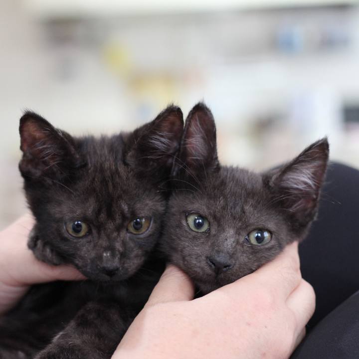 B3499dc0 7fb8 4f8e 8f8d b147623120ce